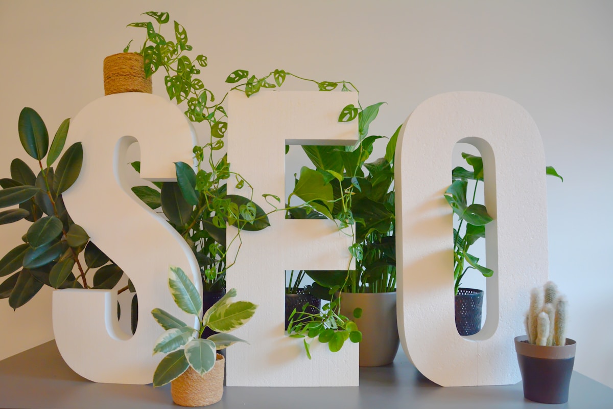 The Importance of SEO